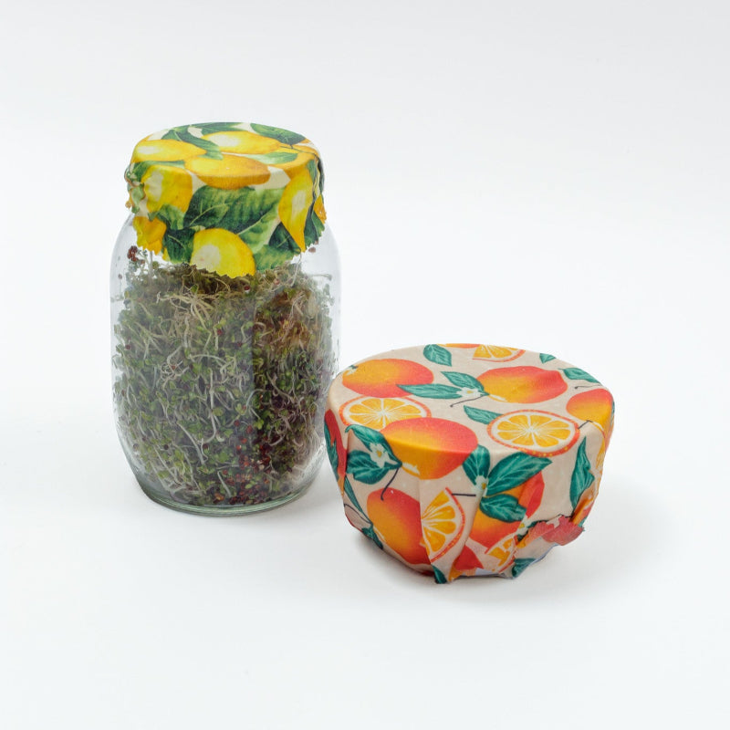 Micro Greens Sprouting Kit